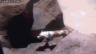 Летние гифки