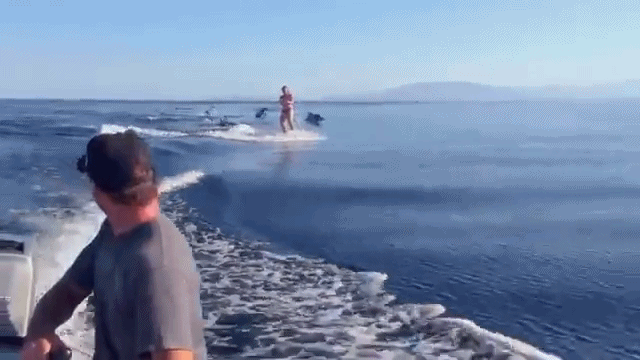 Летние гифки