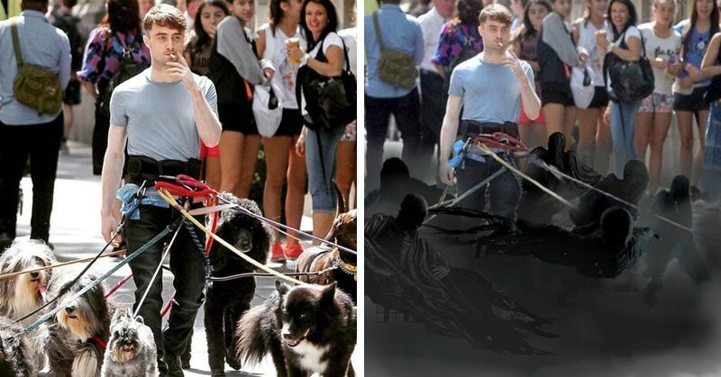Дэниэл Рэдклифф на съёмках фильма вышел погулять с собаками и стал героем весёлой битвы фотошоперов