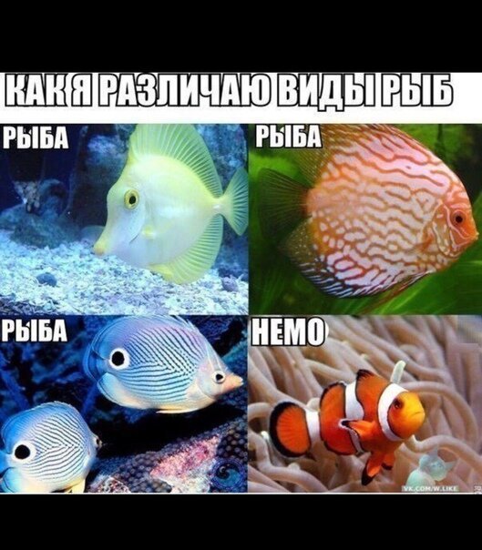 Картинки с надписями
