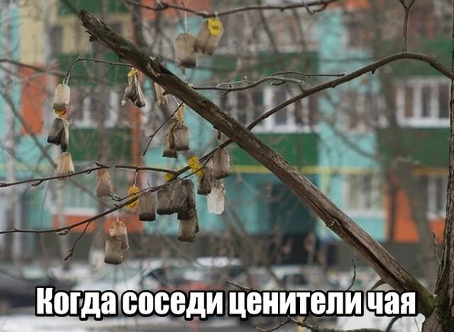 Картинки с надписями