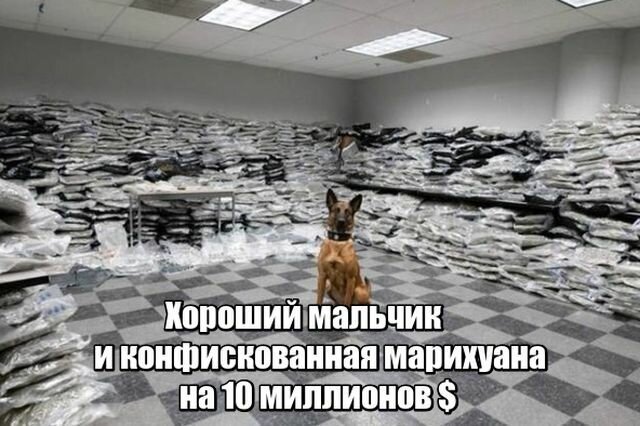 Картинки с надписями