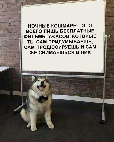 Картинки с надписями