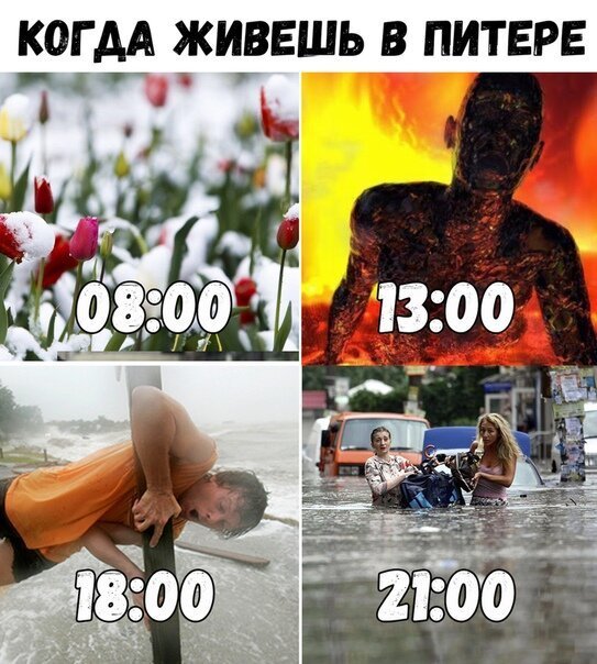 Картинки с надписями