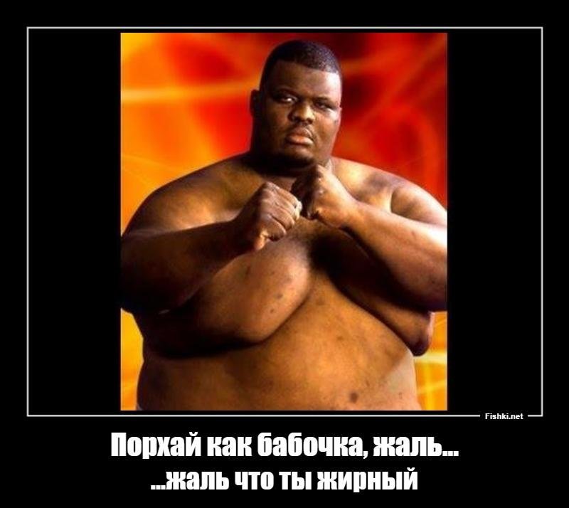 Порхай как бабочка жаль что твоя. Мем порхай какак бабочка. Порхай как бабочка. Порхай как бабочка жаль что ты. Порхай как пчела жаль что мать.