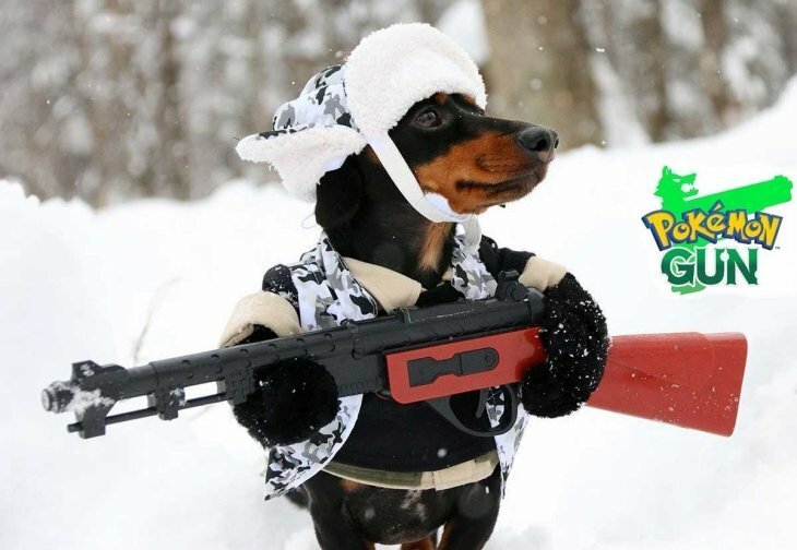 Пятничная  порция фотографий со всего мира