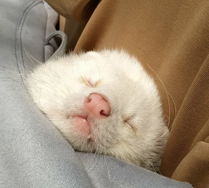 Пятничная  порция фотографий со всего мира