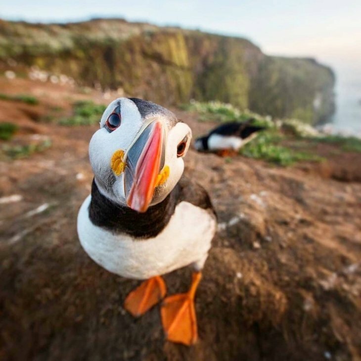 Пятничная  порция фотографий со всего мира