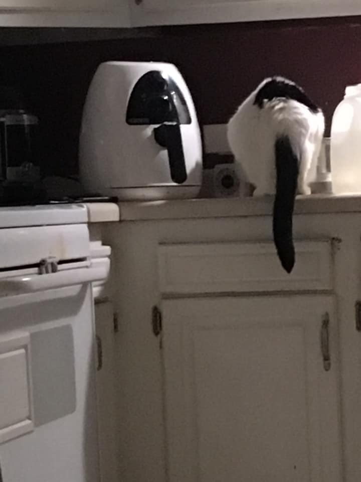 Пятничная  порция фотографий со всего мира