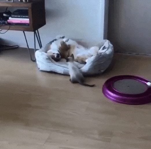 Под теплый бочок