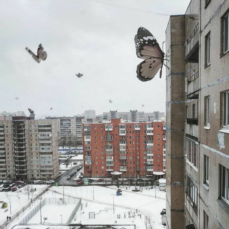 Потрясающие фотоманипуляции художника из России
