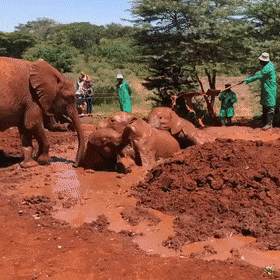 Гифки всякие