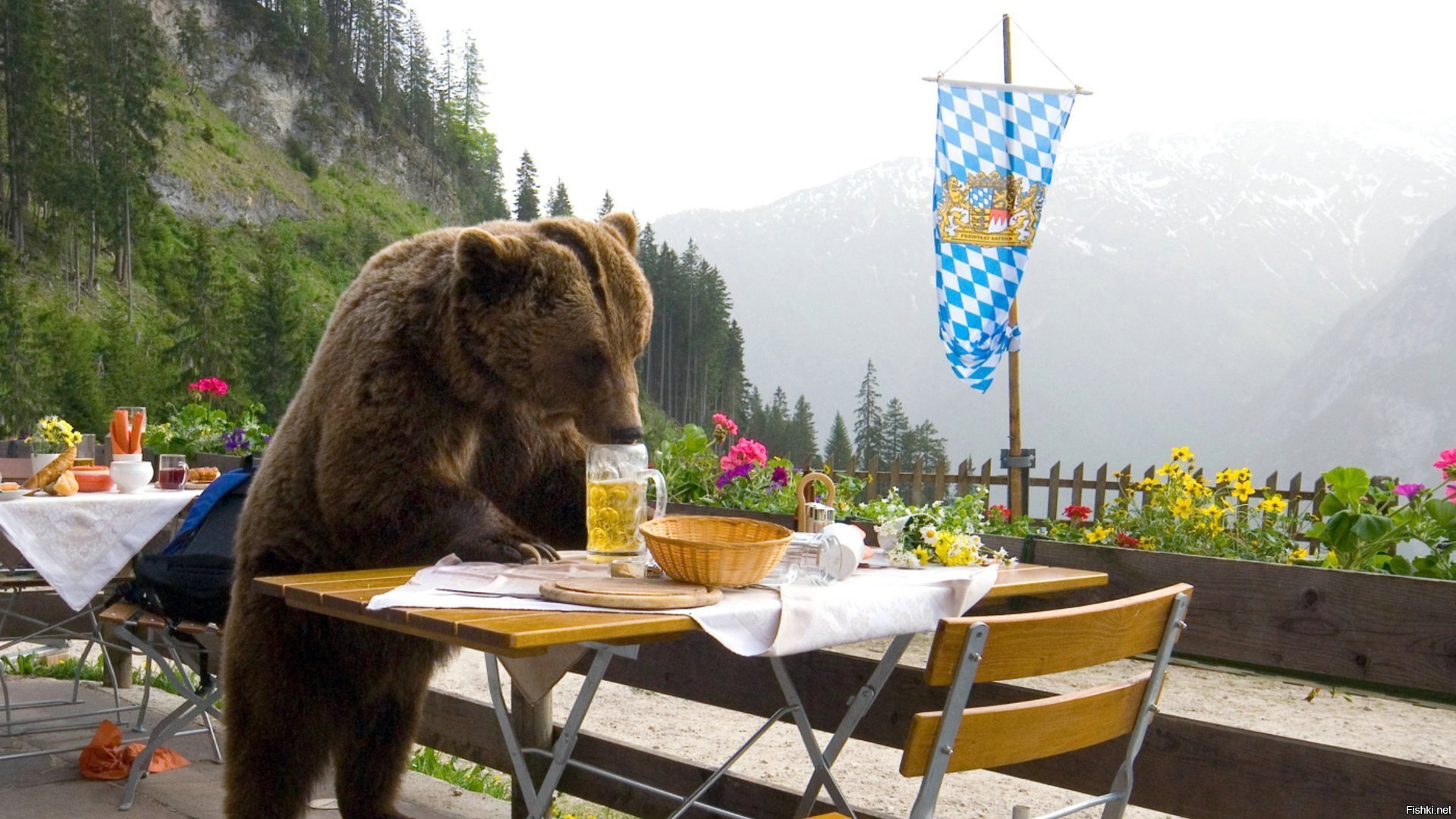 Медведь с пивом