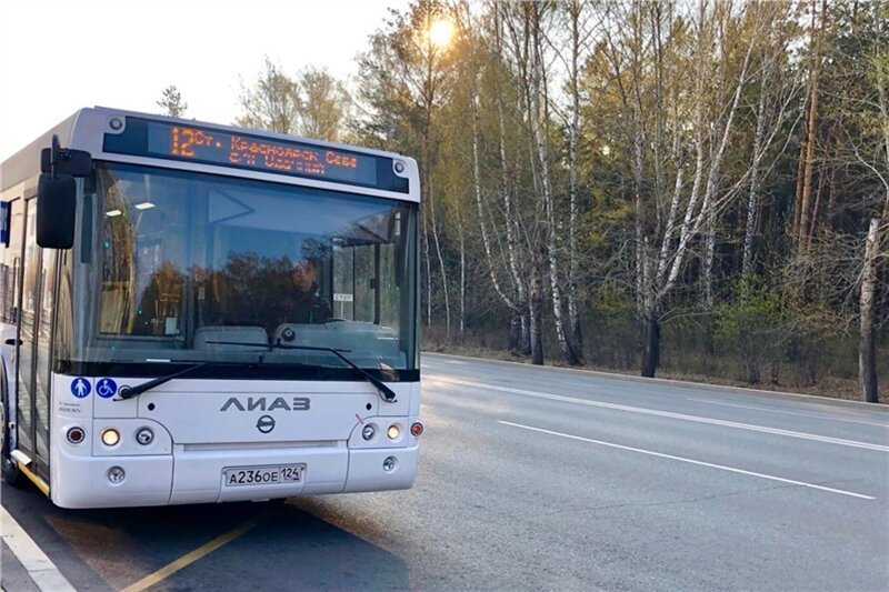 На маршруты Красноярска вышла очередная партия новых автобусов