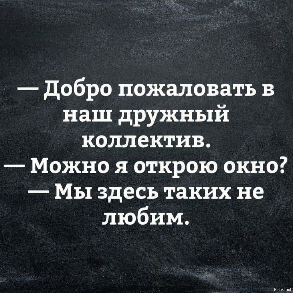 Возможно открытые. Добро пожаловать в наш дружный коллектив. Цитаты про коллектив. Смешные цитаты про коллектив. Цитаты про коллектив на работе.