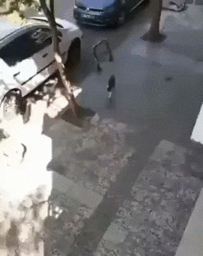 Собственный лифт