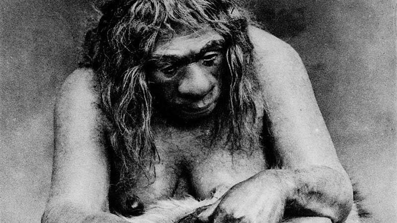 Стало известно, что неандертальцы скрещивались с неизвестным видом, о котором учёные ничего пока не знают