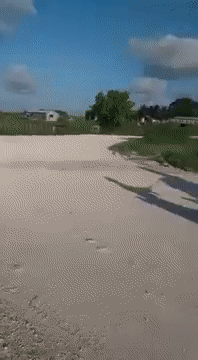 Гифки всякие