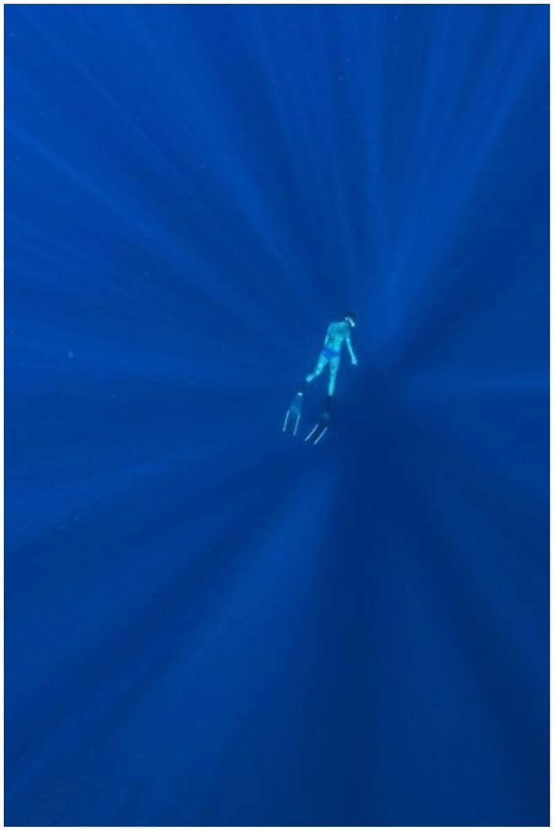 Почувствуй бездну: 25 завораживающих подводных снимков