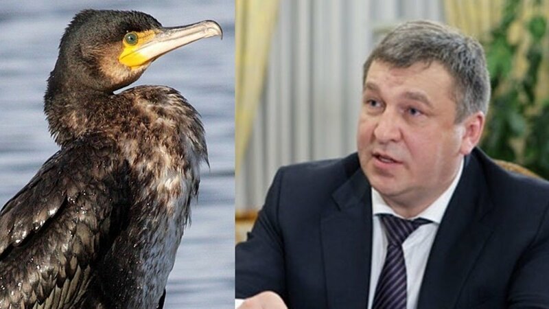 Раскрыта коррупционная схема Албина и Григорьева