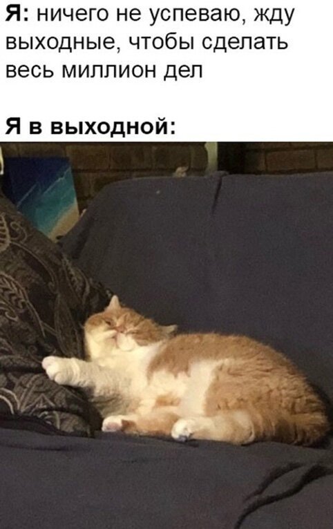 Мем планы на выходные