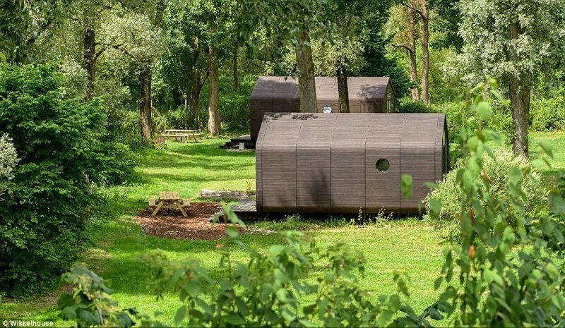 Голландцы создали полнофункциональный дом из картона