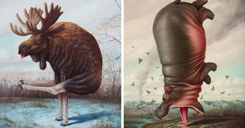 Художник из Франции представил, как выглядели бы животные, займись они йогой