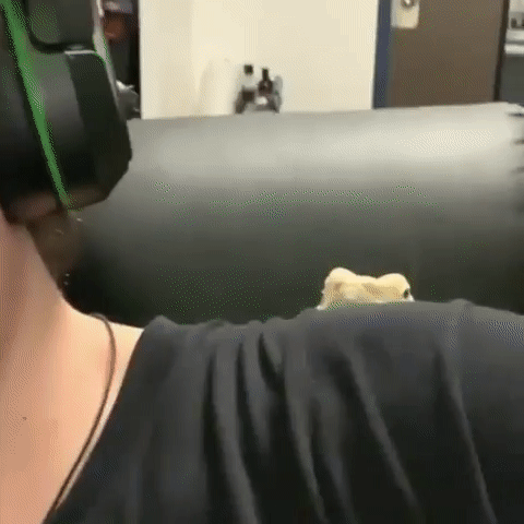 Улыбчивая дама