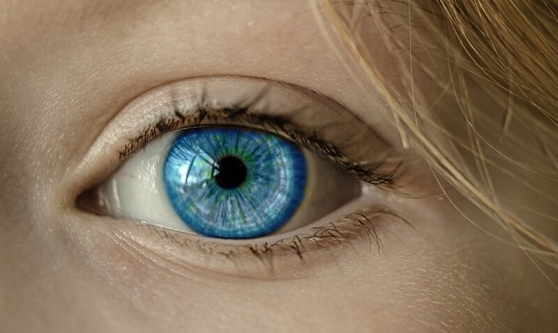 Почему у людей разный цвет глаз?