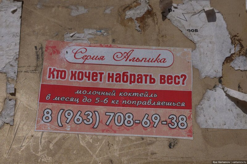 Реклама в Дагестане!!!