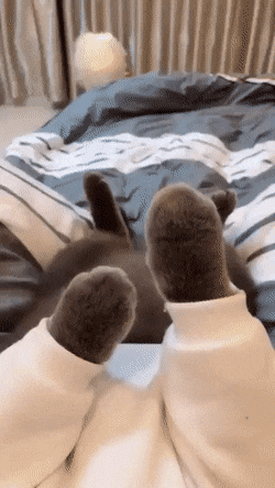 Гифки всякие