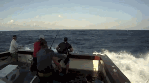 Летние гифки