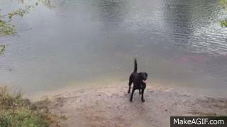 Летние гифки