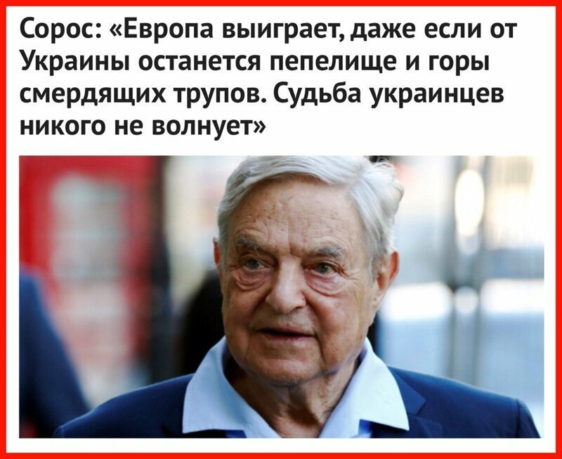 Украинский посол в Берлине аккурат к визиту президента Владимира Зеленского в ФРГ выявил предателей в немецкой политической элите.