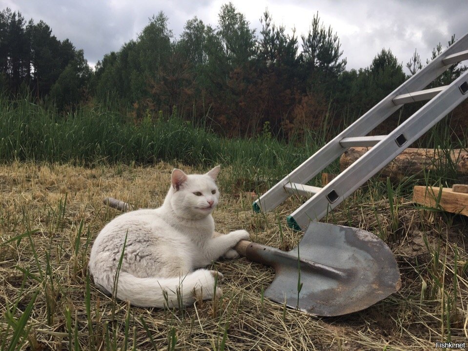 Ща отдохну