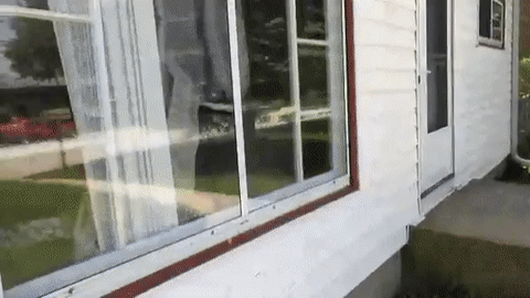 Не буди спящего