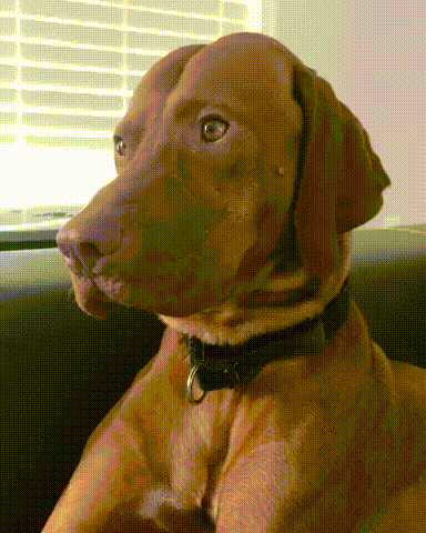 С добрым утром! С добрым утром!