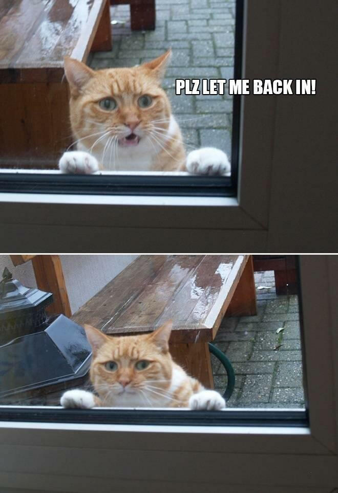 "Пожалуйста, впусти меня!"