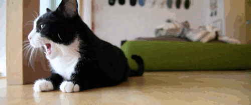 Гифки всякие