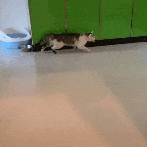 Гифки всякие