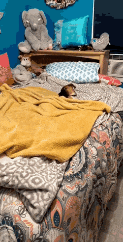 Гифки всякие