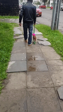 Гифки всякие