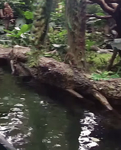 Подборка оригинальных гифок