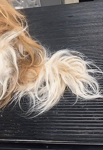 Подборка оригинальных гифок