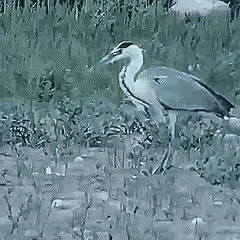 Подборка оригинальных гифок