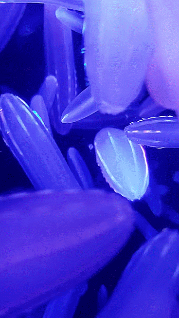 Подборка оригинальных гифок