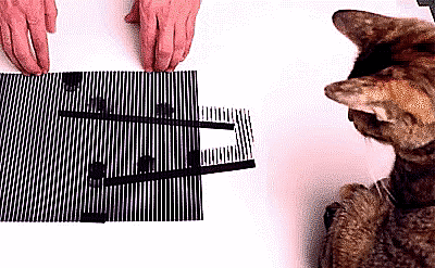 Подборка оригинальных гифок