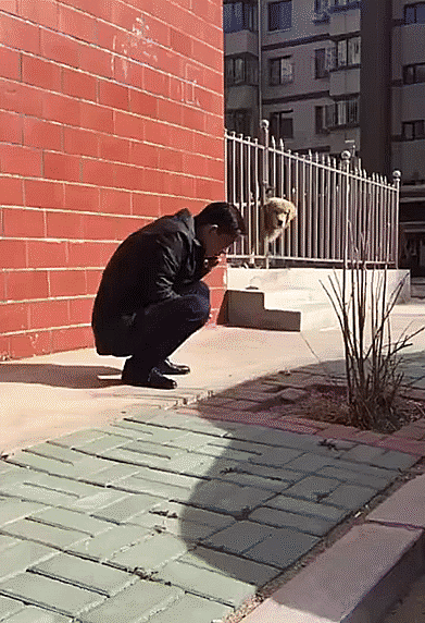 Подборка оригинальных гифок