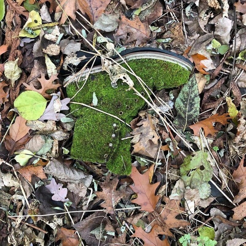 «Этот покрытый мхом ботинок был найден во время лесной прогулки»
