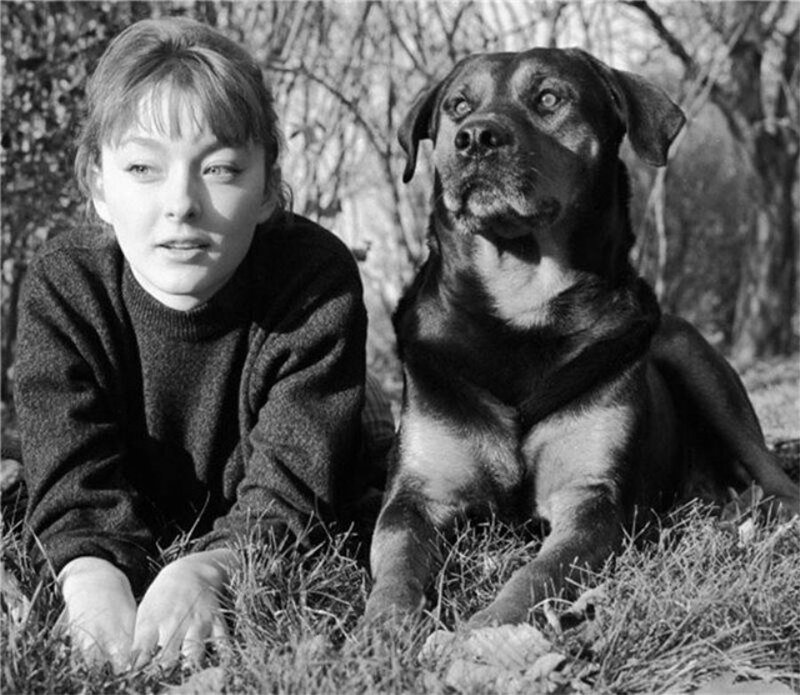 Советская киноактриса Анастасия Вертинская (слева) с собакой Джимом (справа). 1964 год. 